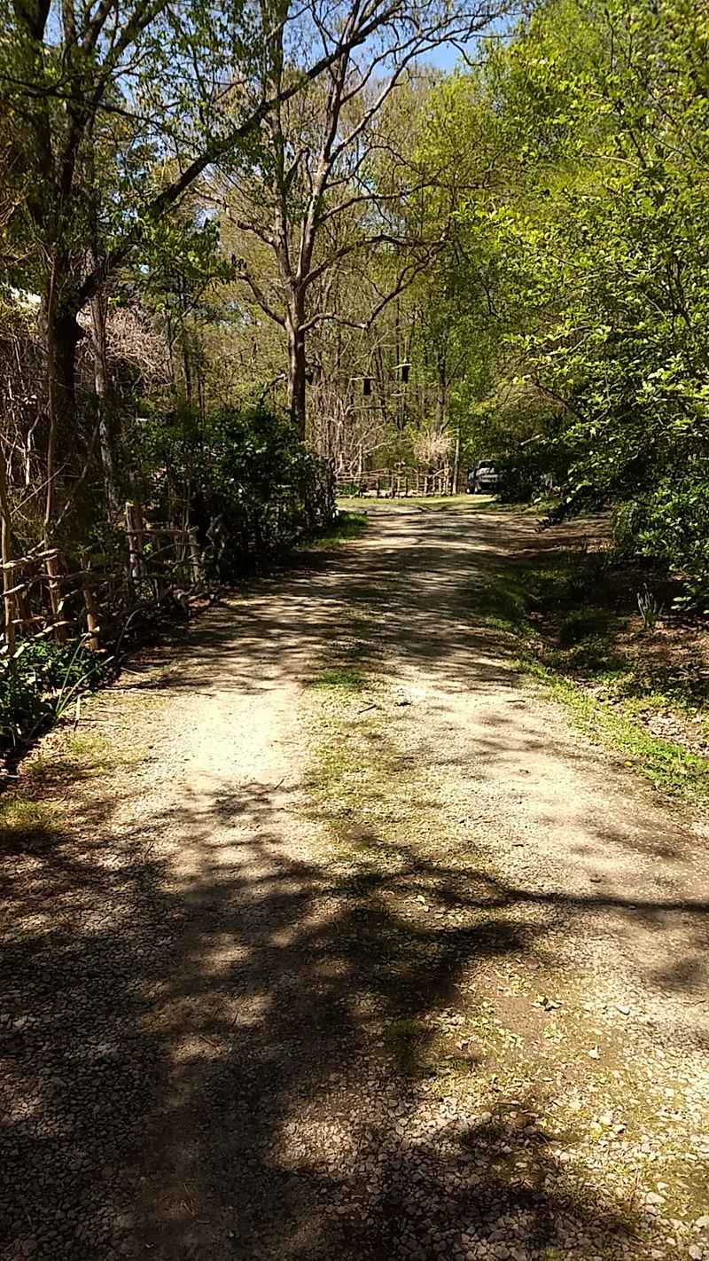 Country Roads Lead To A Feline Paradise