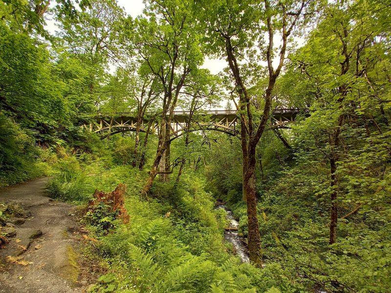 Thank A Generous Couple For This Lovely Picnic Spot
