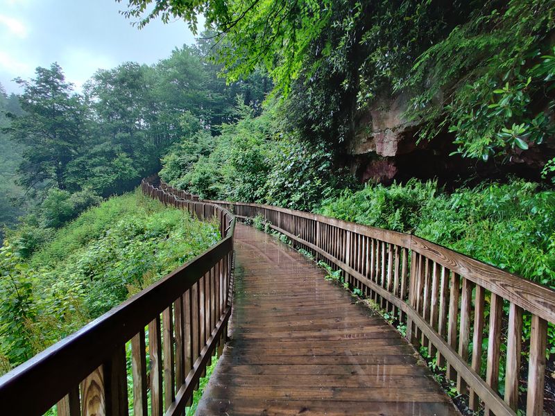 Trails, Swings, And Family Fun Beyond The Falls