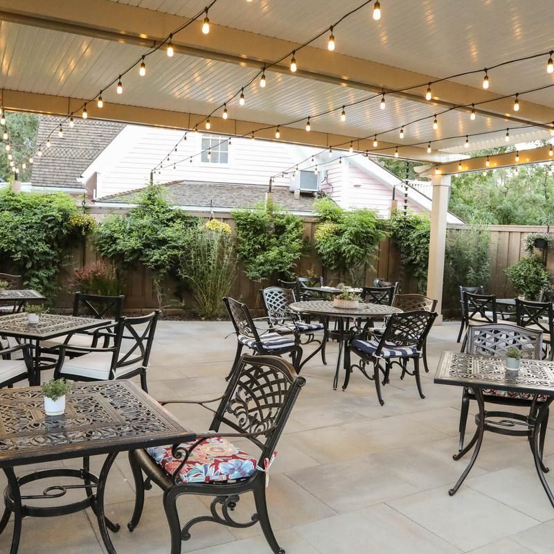 Your Dog Is Invited To The Summer Patio
