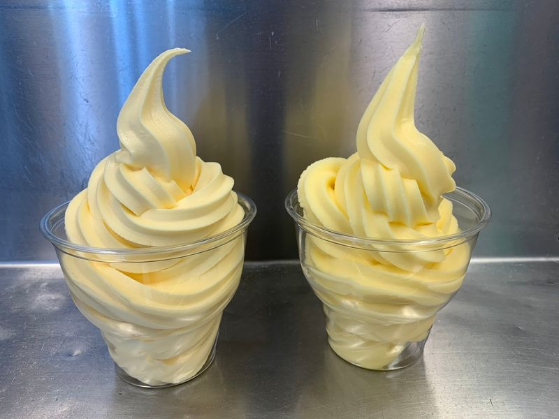 Custard Is Not Ice Cream, And The Texture Shows It