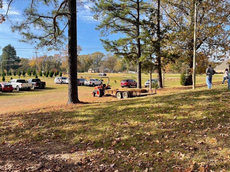 Getting To Getwell Road In Nesbit