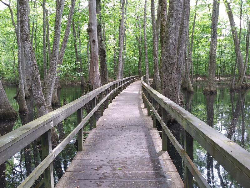 A Swamp Stop at Milepost 122