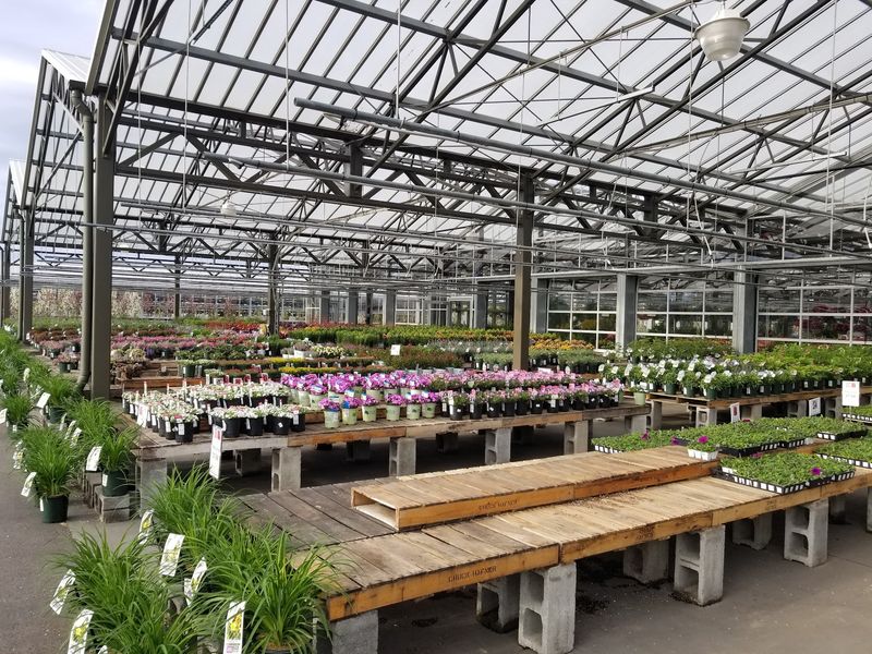 Meet Chuck Hafner's In North Syracuse
