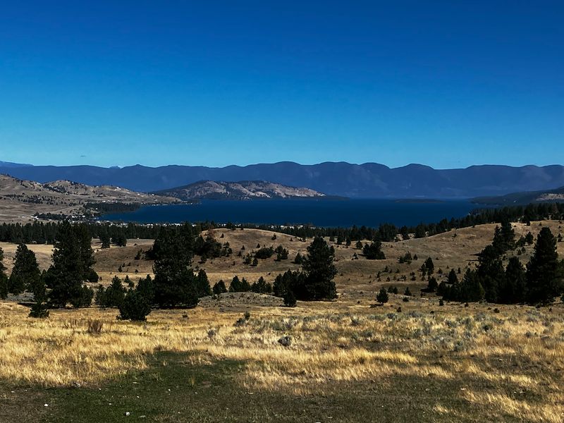 Wild Horses On A Secret Island