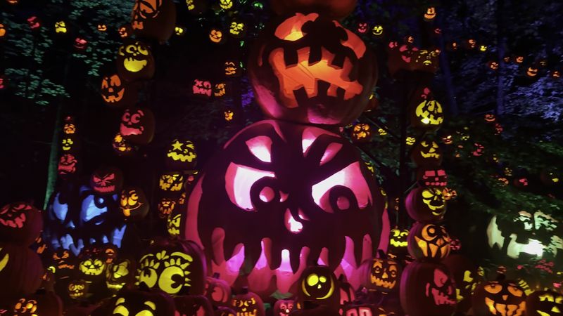Thousands Of Hand-Carved Pumpkins Light The Way