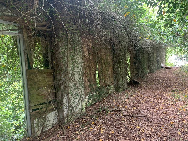 How A Boomtown Slowly Faded Into Silence