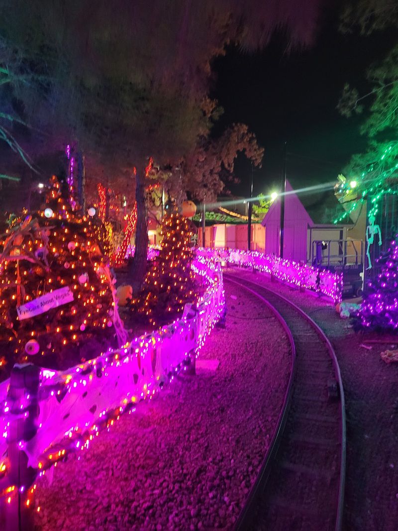 Climb Aboard The Forest Express Train