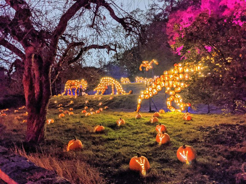 Dinosaurs, Carousels, And A Pumpkin Liberty