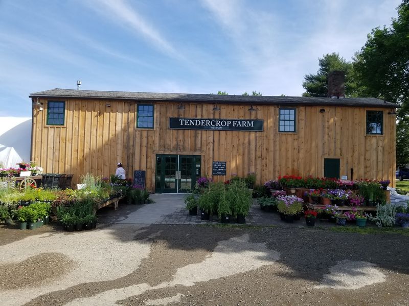A Working Farm Market Keeps The Countryside Close