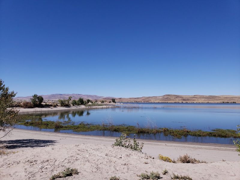 Calm Water Made For Swimmers, Skiers, And Paddlers