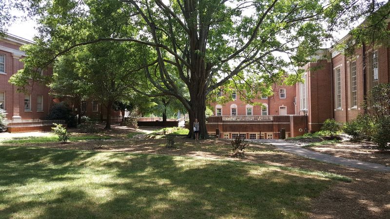 Eight Students For Every Professor