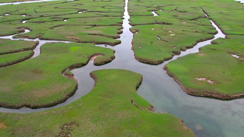 High Tide Or Low Tide, Both Win