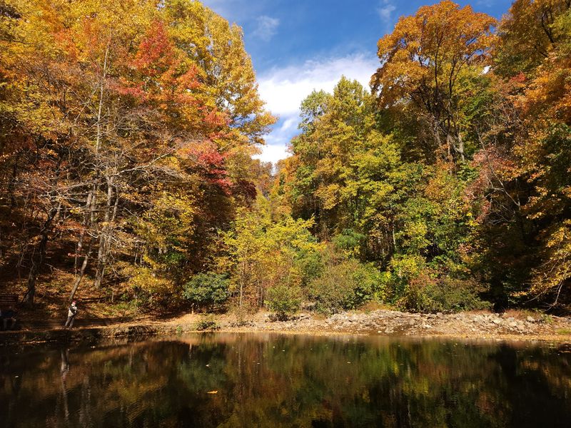 Cabins, Campsites, And Cozy Nights