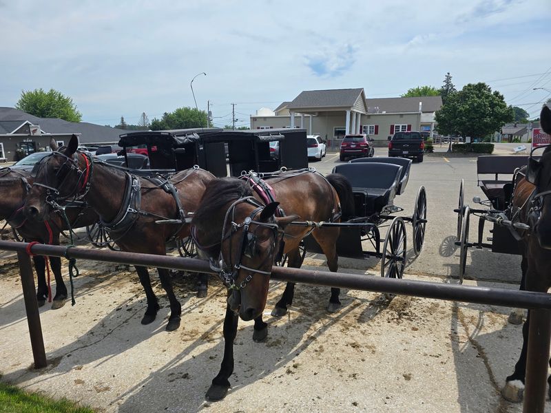 Auction Day Neighbors Make This The Most Practical Lunch Stop In Town