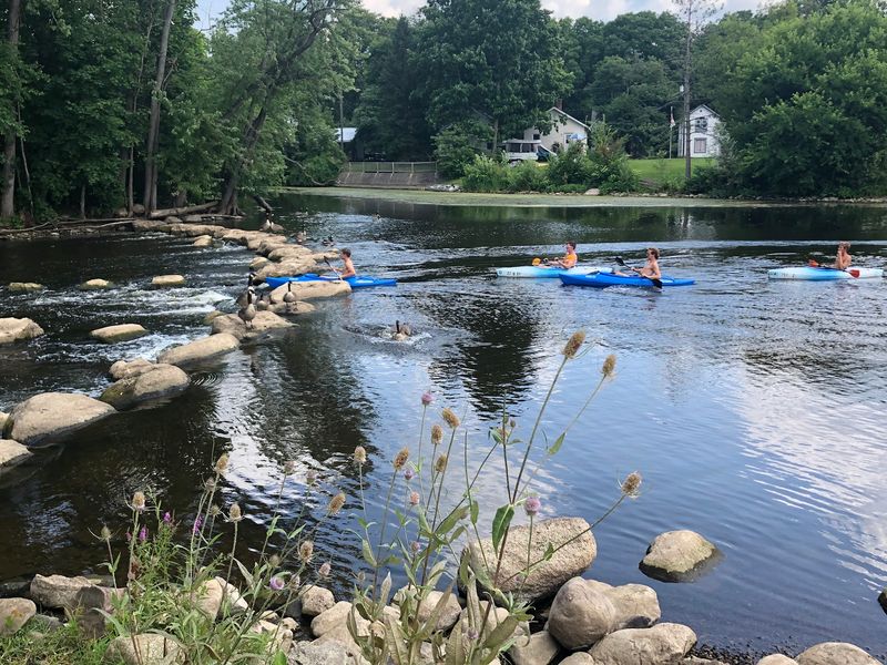 Paddling From Mill Pointe Park