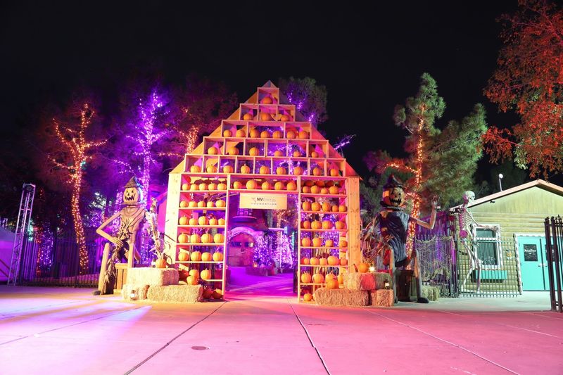 Stroll Through A Glowing Halloween Dream