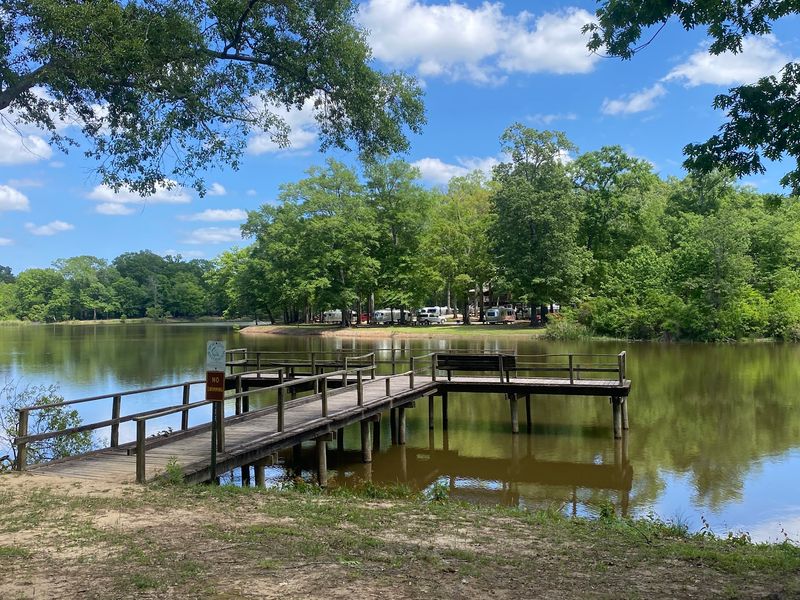 Piers, Docks, and Two Boat Launches for Anglers