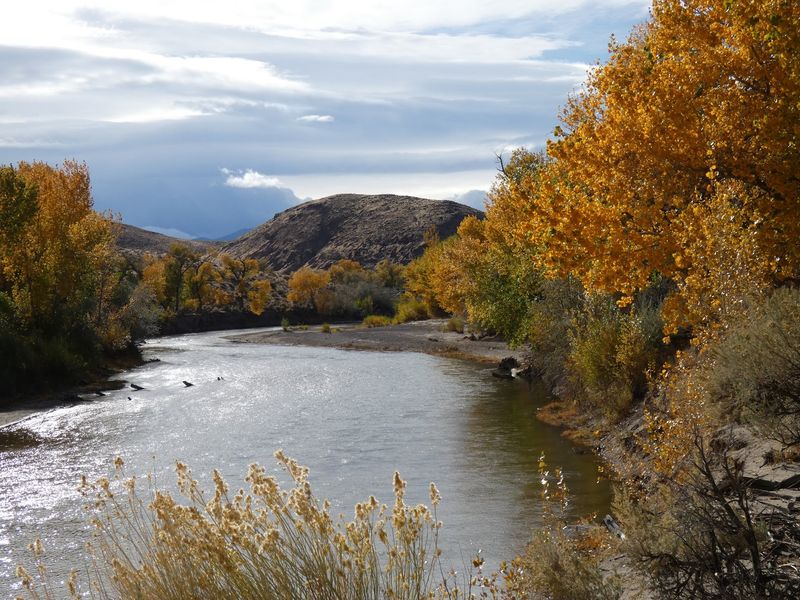 Your Legs Will Thank You For This River Trail