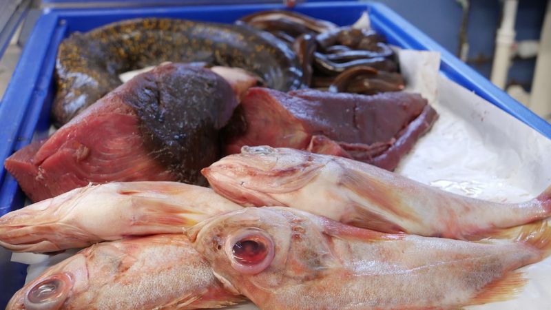 Whole Fish Lovers, Your Custom Order Is Waiting