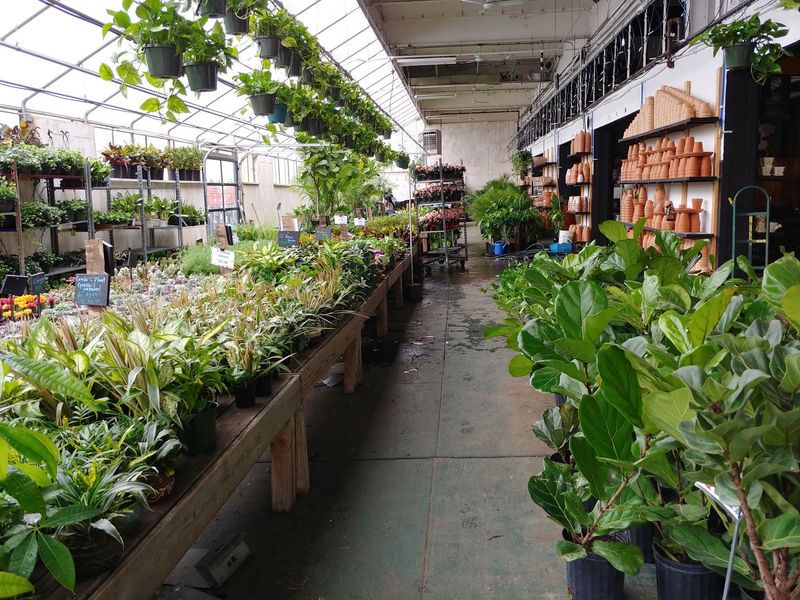 You May Need A Map Inside A Wholesale Market