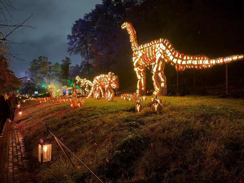 Dinosaurs, A Carousel, And A Glowing Sky Overhead