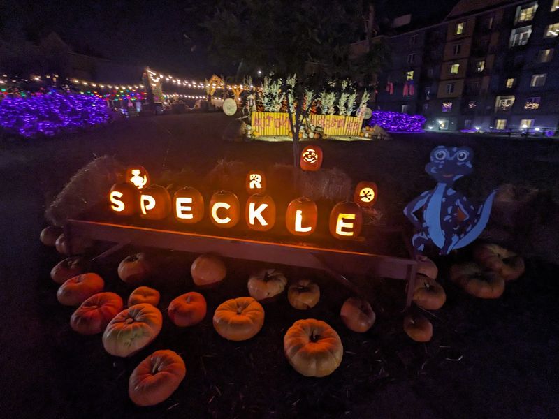 Glowing Pumpkins Steal The Night