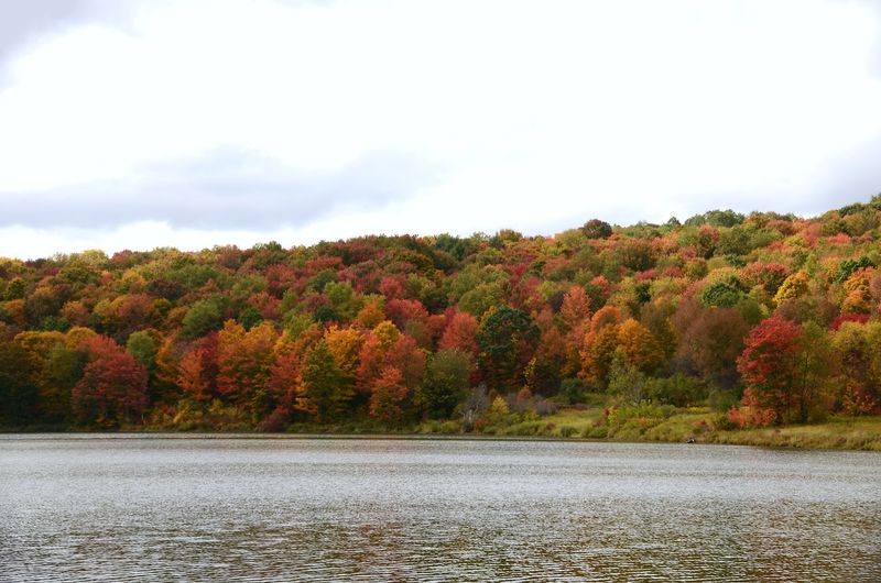 Meet Oquaga Creek State Park