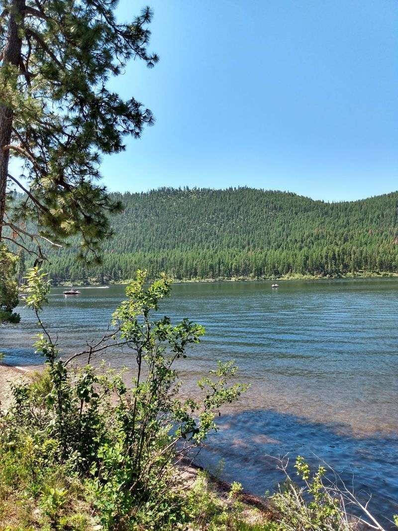 Your Fishing Rod Has Plenty Of Options Here