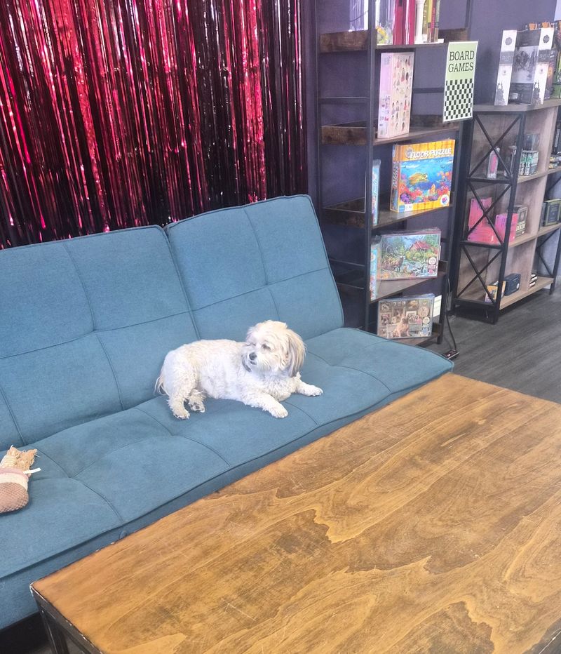Grab A Couch And Stay Awhile