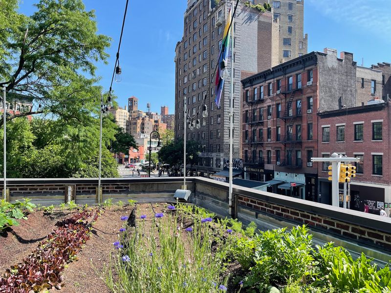 Look Up, Because The Garden Lives On The Roof