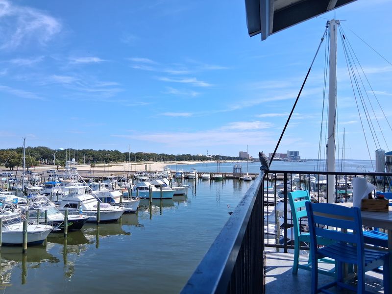 Deck Seating With Dolphin Sightings
