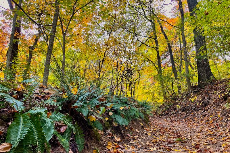 Trails For Tiny Legs And Serious Hikers Alike