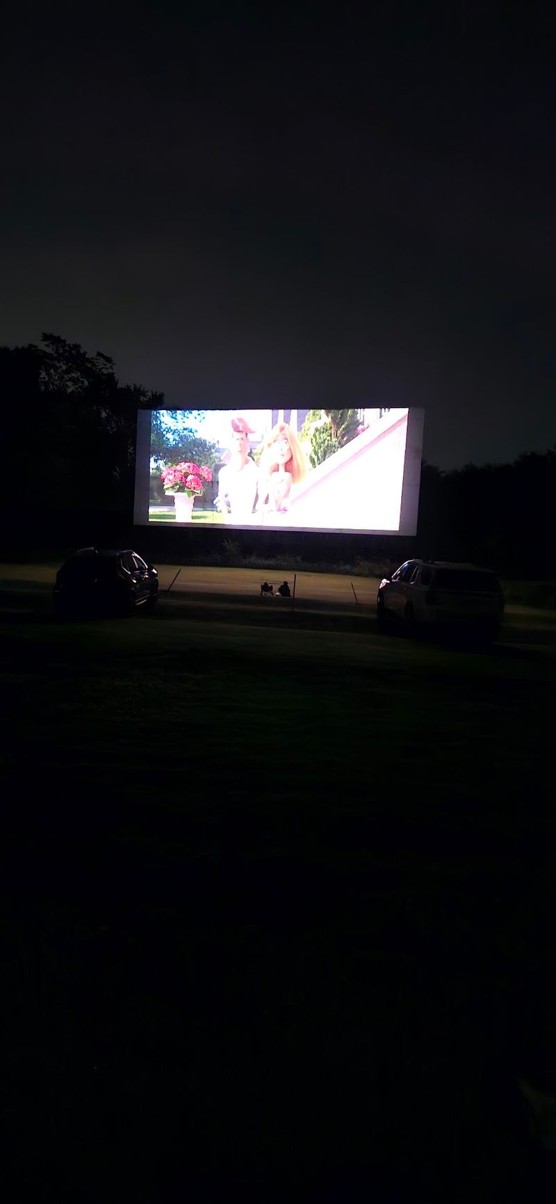 One Giant Screen Means Nobody Argues Over Which Movie