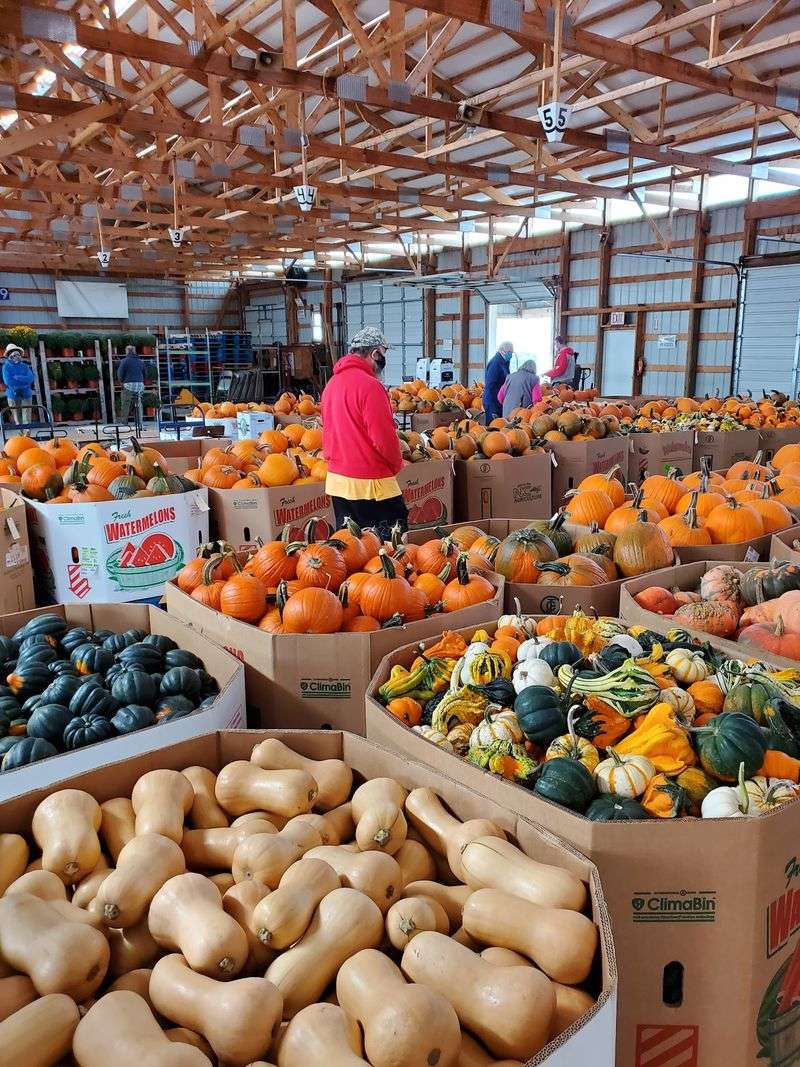Fresh Farm Produce Straight From Local Fields
