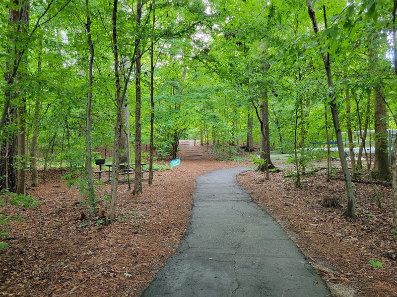 A Web Of Trails Means You Can Pick Your Own Adventure