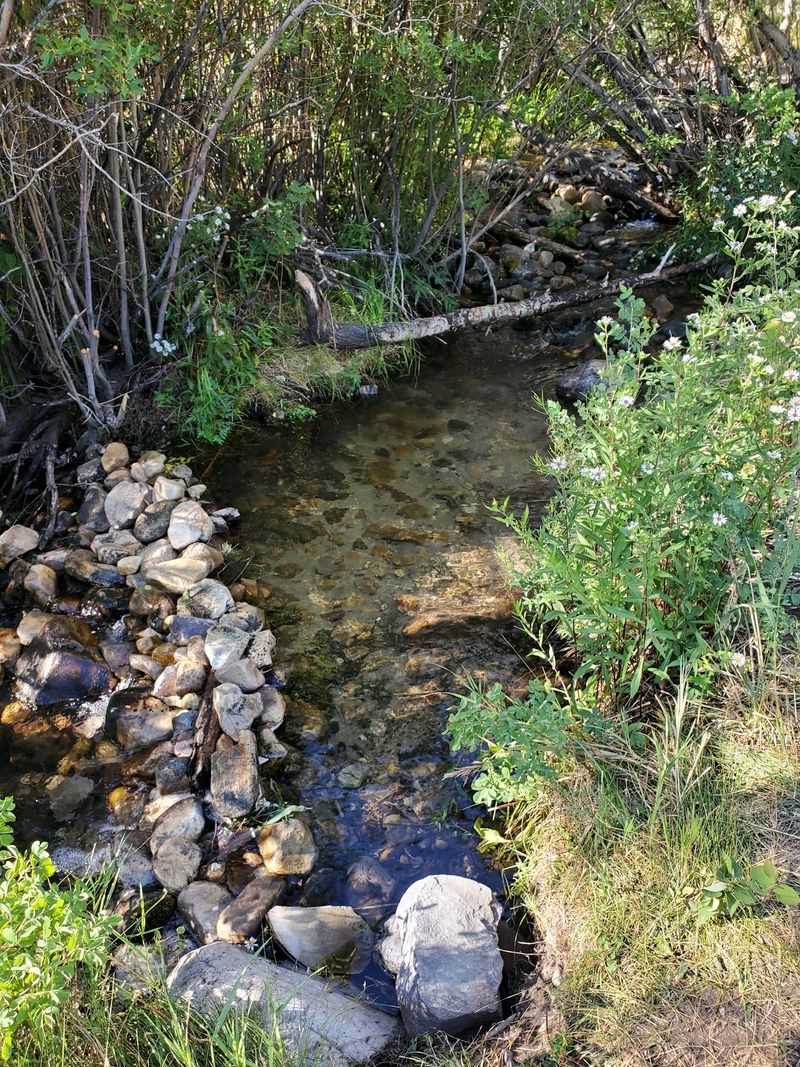 Water Rules To Remember