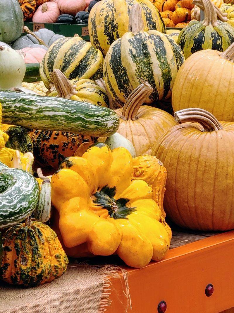 How A Mayor And A Few Pumpkins Started It All
