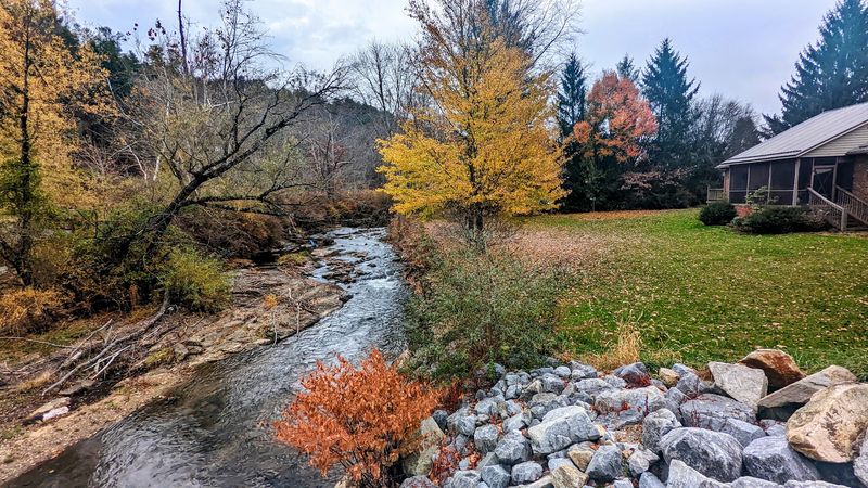 Timing The Peak Leaf Season Just Right