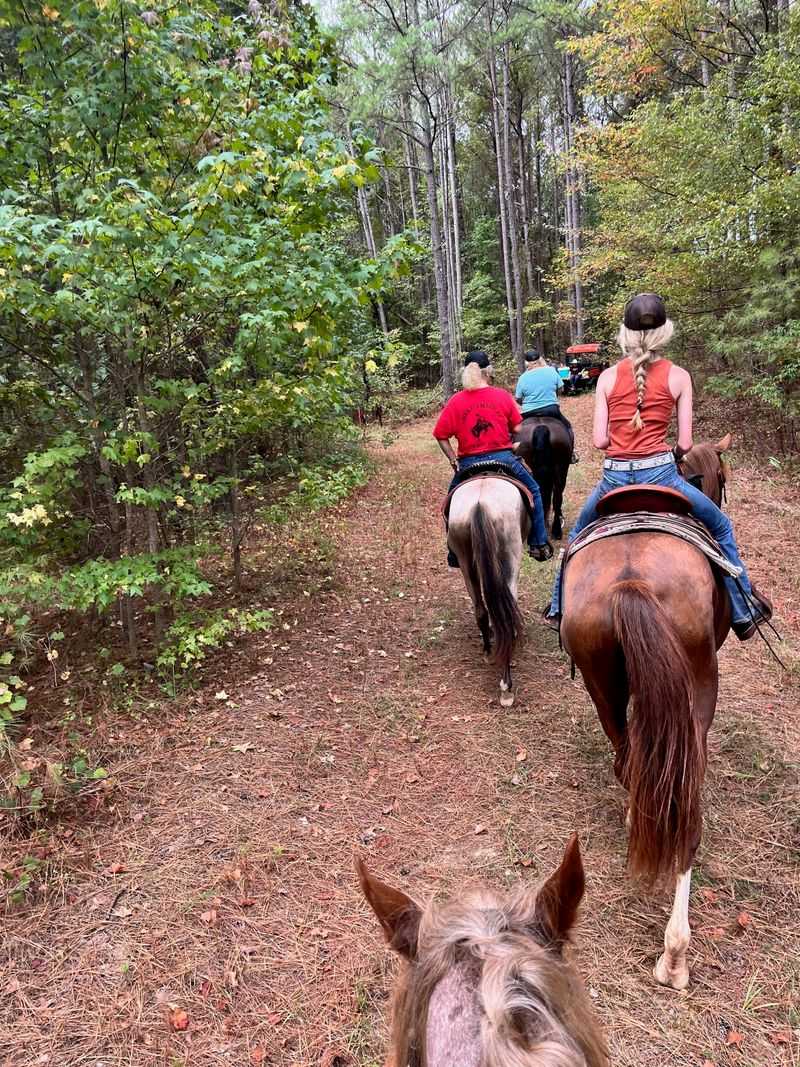 Wooded Trails Through Oak and Pine