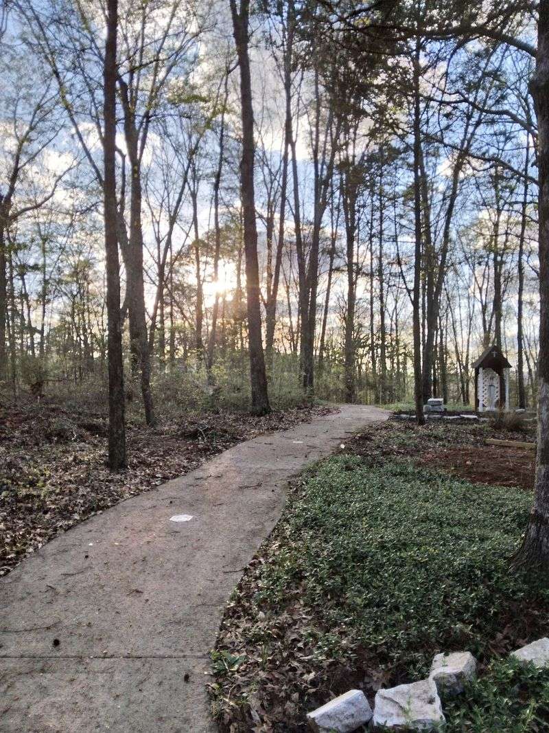 Walking Paths Made For Reflection