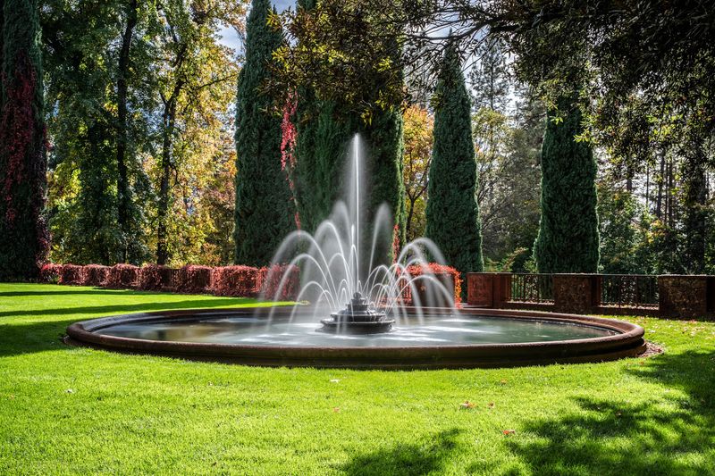 Roses, Fountains And A Mirror Pool