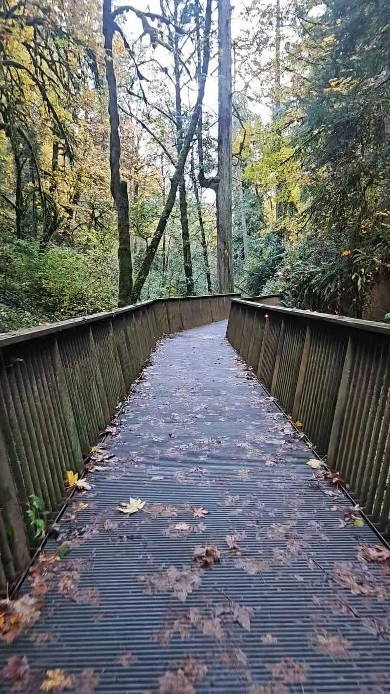 Start With The Paved Part Of The Trail