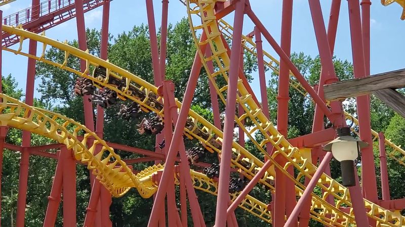Long Before The Coasters, Animals Ruled These Grounds