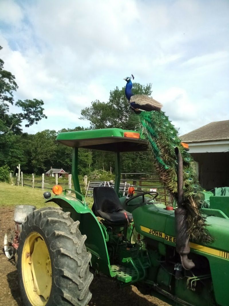 Farm Stands, Fields, And A Proud Right To Farm Spirit