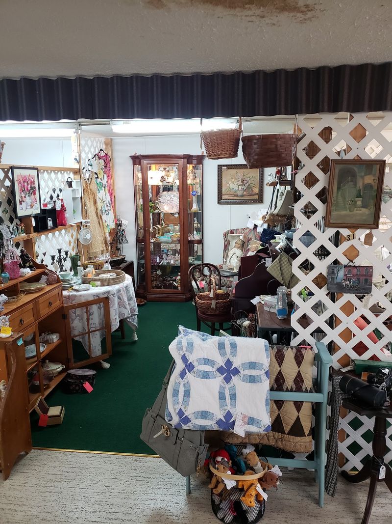 Small-Town Roots, Big-Time Browsing