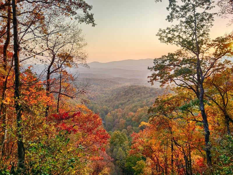 Fall Colors That Steal The Spotlight