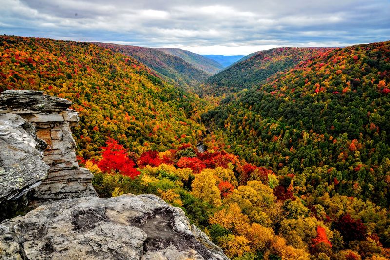 Fall Foliage That Steals The Show