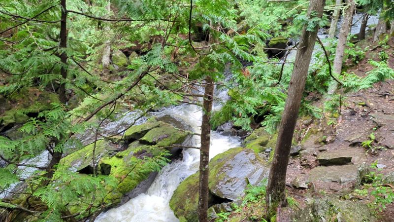 The Trail Is Short, But Your Shoes Still Matter