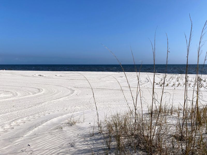 Sand Shipped In to Build a Shoreline